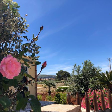 La Villa Dei Girasoli 쿠스토나치 외부 사진